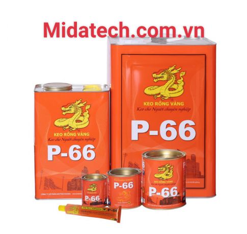 Keo rồng vàng P-66