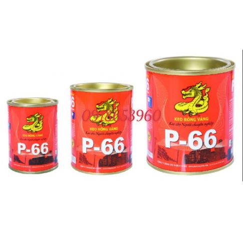 Keo rồng vàng P-66