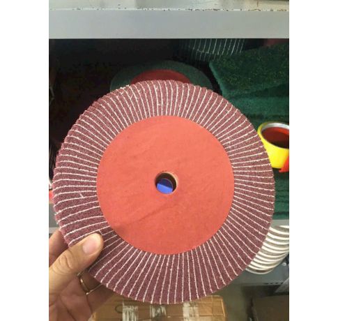 Bùi nhùi kẹp nhám